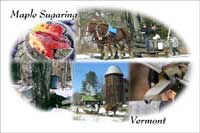 Maple sugaring in Vermont 2